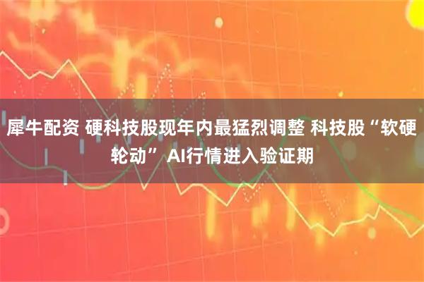 犀牛配资 硬科技股现年内最猛烈调整 科技股“软硬轮动” AI行情进入验证期