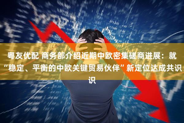 粤友优配 商务部介绍近期中欧密集磋商进展：就“稳定、平衡的中欧关键贸易伙伴”新定位达成共识